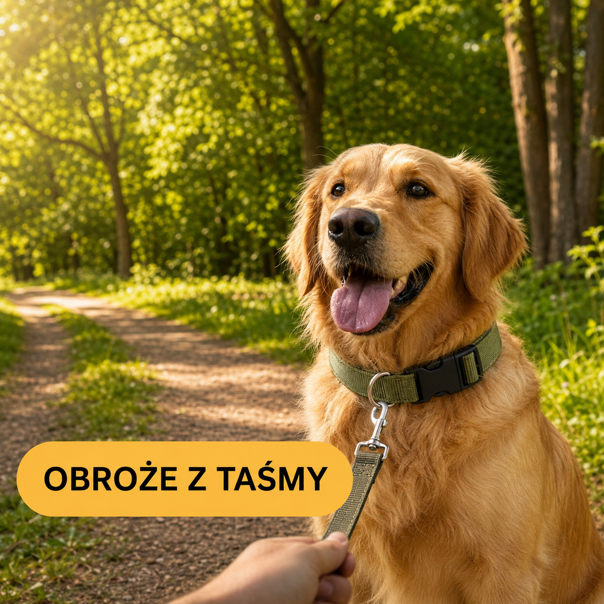 OBROŻE Z TAŚMY
